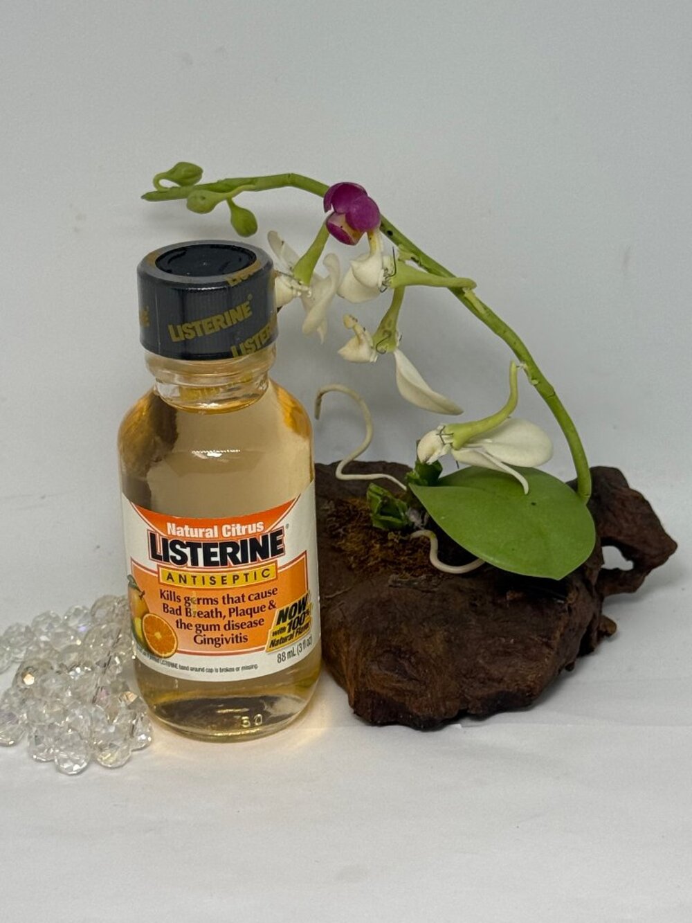 Listerine Mouthwash - Natural Citrus - 3 fl oz - Sealed - Discontinued